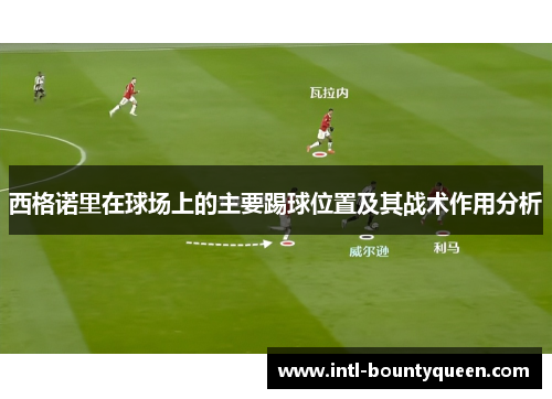 西格诺里在球场上的主要踢球位置及其战术作用分析 西格诺里在球场上的主要踢球位置及其战术作用分析