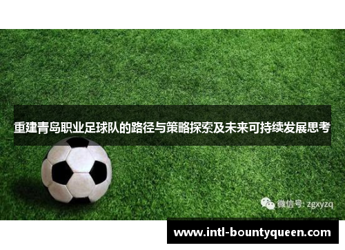 重建青岛职业足球队的路径与策略探索及未来可持续发展思考