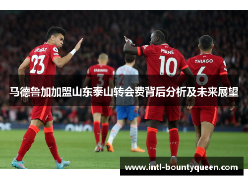 马德鲁加加盟山东泰山转会费背后分析及未来展望