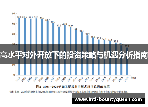 高水平对外开放下的投资策略与机遇分析指南
